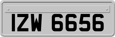 IZW6656