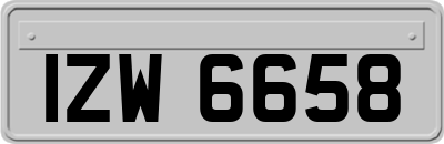 IZW6658