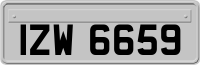 IZW6659