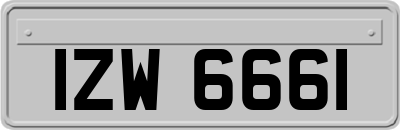 IZW6661