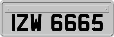 IZW6665