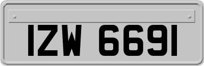 IZW6691