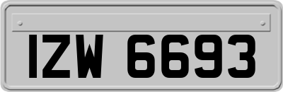 IZW6693