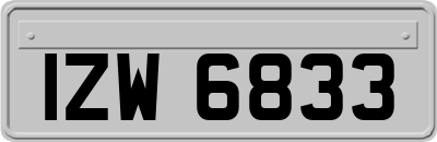 IZW6833