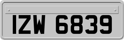 IZW6839