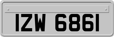 IZW6861