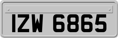 IZW6865