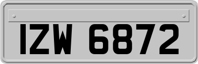 IZW6872
