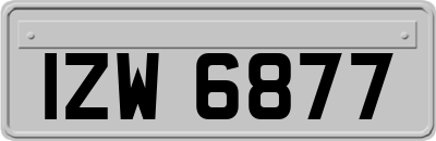 IZW6877