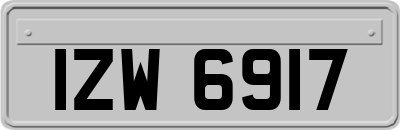 IZW6917