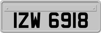 IZW6918