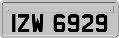 IZW6929