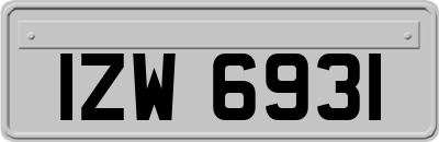 IZW6931