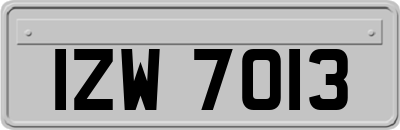 IZW7013