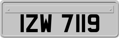 IZW7119
