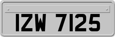 IZW7125