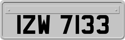IZW7133