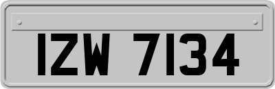 IZW7134
