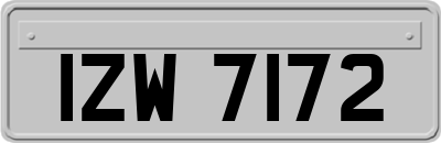 IZW7172