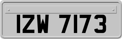 IZW7173