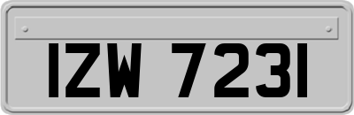 IZW7231