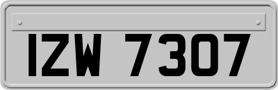 IZW7307