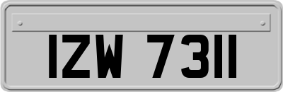 IZW7311