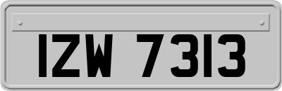 IZW7313