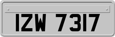 IZW7317