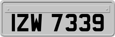 IZW7339