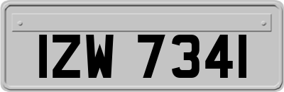 IZW7341