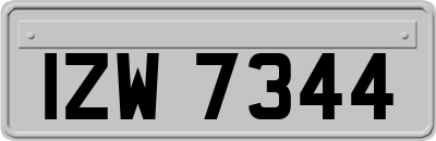 IZW7344