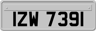 IZW7391
