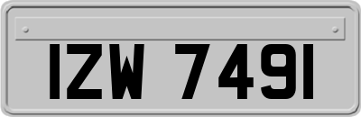 IZW7491