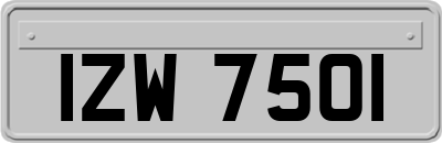 IZW7501