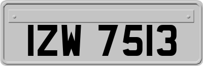 IZW7513