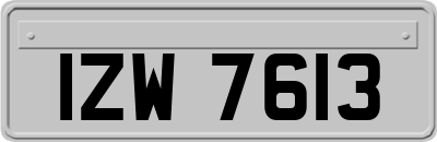IZW7613
