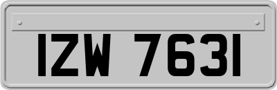 IZW7631
