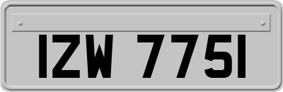 IZW7751