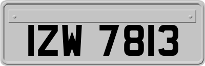 IZW7813