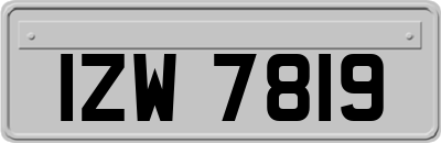IZW7819