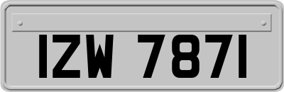 IZW7871