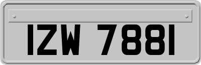 IZW7881