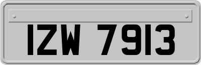 IZW7913
