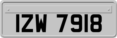 IZW7918