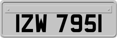 IZW7951