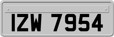 IZW7954