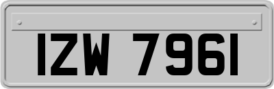 IZW7961
