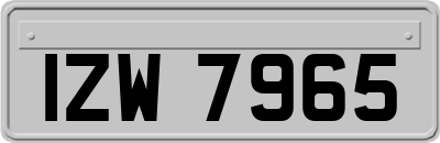 IZW7965