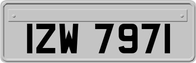 IZW7971